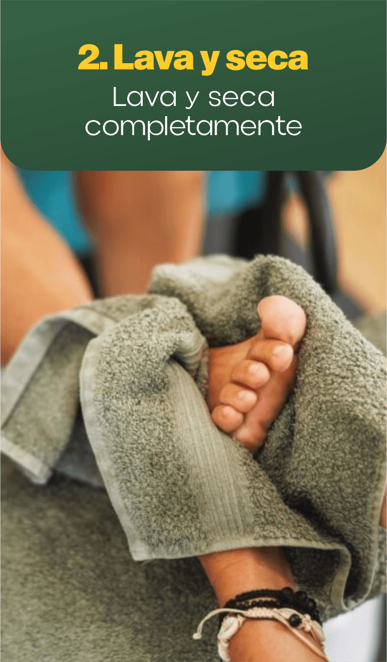 2. Lava y seca